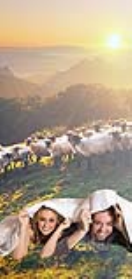 20170002140 Sheeps wool 140/200 Met knopen / avec des boutons  s
